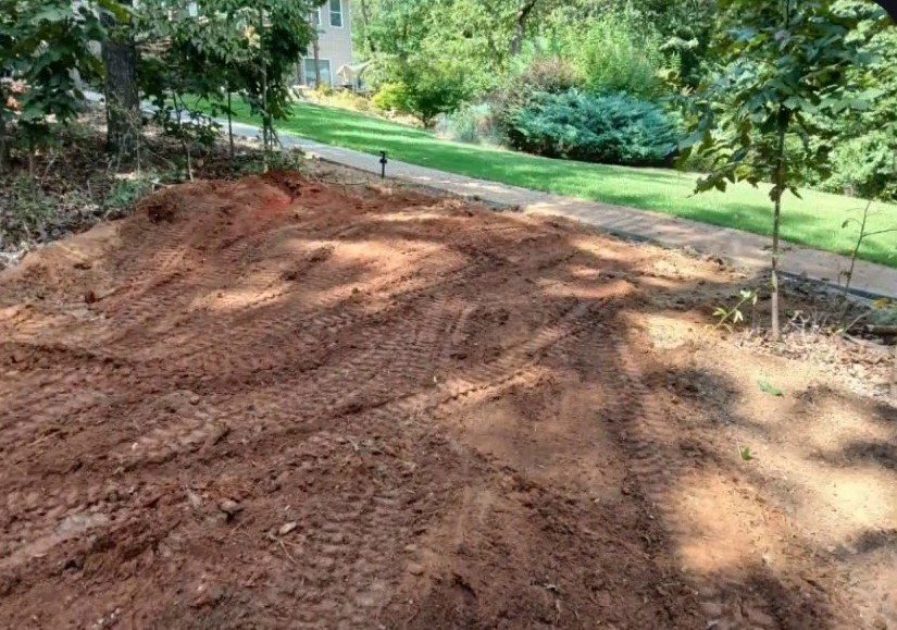 Smooth bed of red clay where the stump and roots were